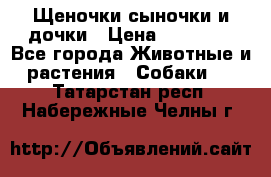 Щеночки-сыночки и дочки › Цена ­ 30 000 - Все города Животные и растения » Собаки   . Татарстан респ.,Набережные Челны г.